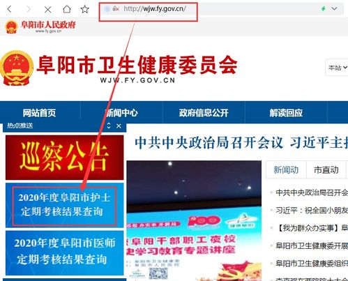 关于开放2020年度阜阳市护士定期考核结果查询的通知