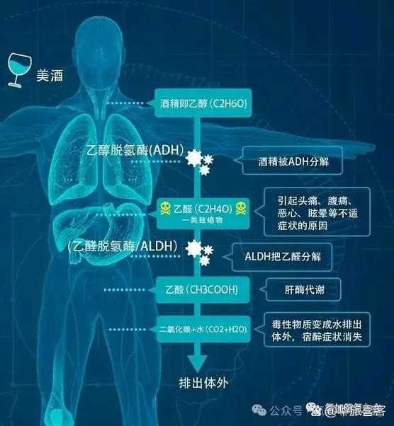 氢水研究取得重大突破，富氢水助力健康生活